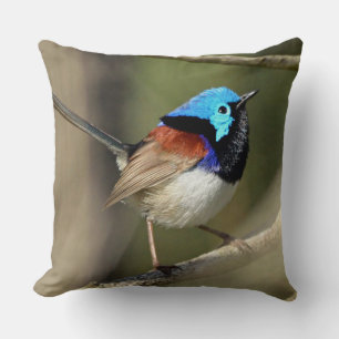 Vogel - Variegated Fairywren Kissen
