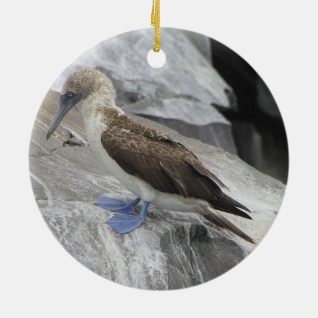 Vogel-Verzierung Keramik Ornament (Hinten)