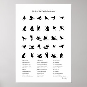 Vögel vom Nordwest (mit Namen) Poster