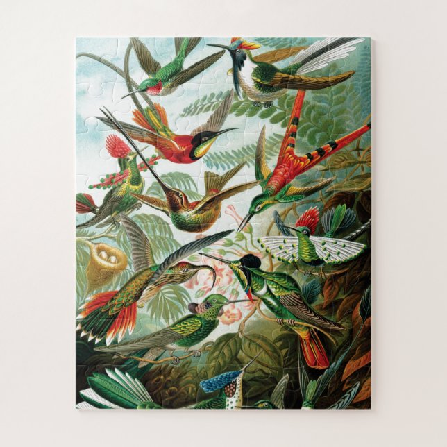 Vögel von Ernst Haeckel (Vertikal)