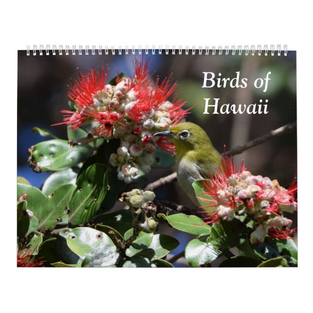 Vögel von Hawaii Kalender (Titelbild)