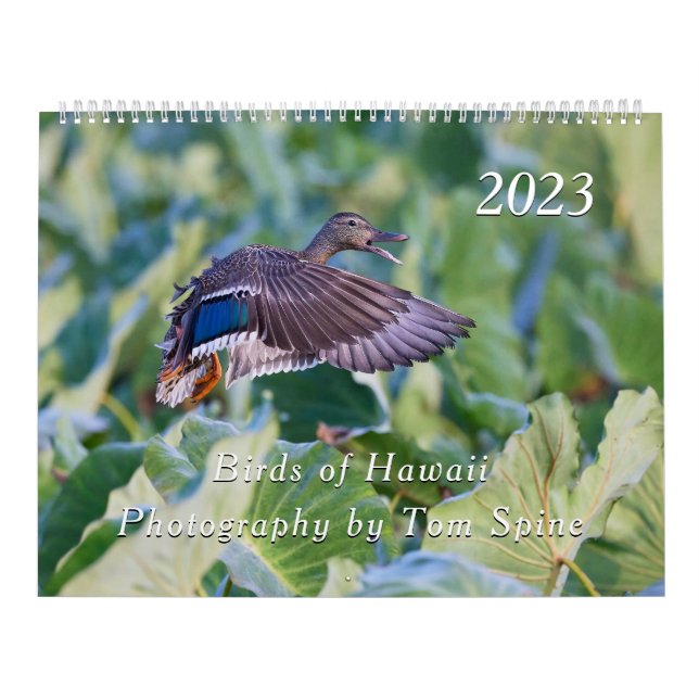 Vögel von Hawaii - Kalender 2023 (Titelbild)