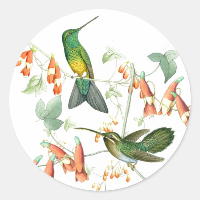 Vögel von Hummingbird Wildlife Blume Tiere Flora Runder Aufkleber (Vorderseite)