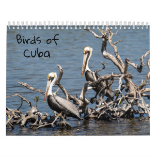 Vögel von Kuba-Kalender Kalender