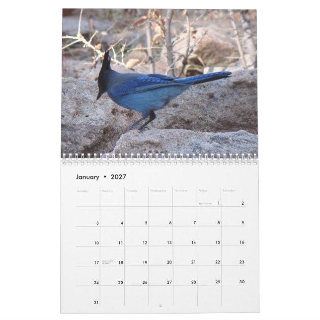 Vögel von Nordamerika Kalender (Jan 2027)