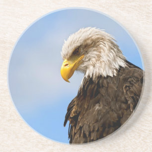 Vogel von Pray Bald Eagle Getränkeuntersetzer
