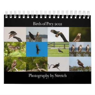 Vögel von Raubtieren - Zwei Seiten kleiner Kalend Kalender