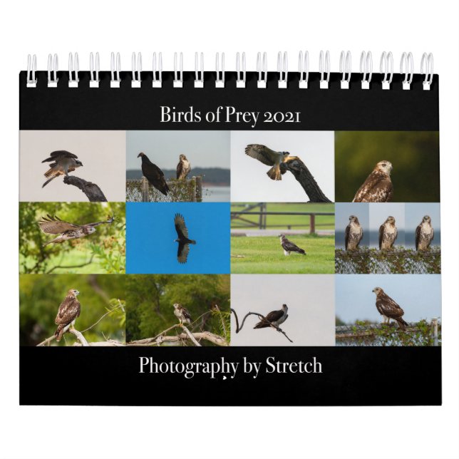 Vögel von Raubtieren - Zwei Seiten kleiner Kalende Kalender (Titelbild)