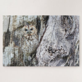 Vogel von Raubvögeln in der Camouflage