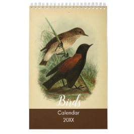 Vögel von Tierra Del Fuego Kalender