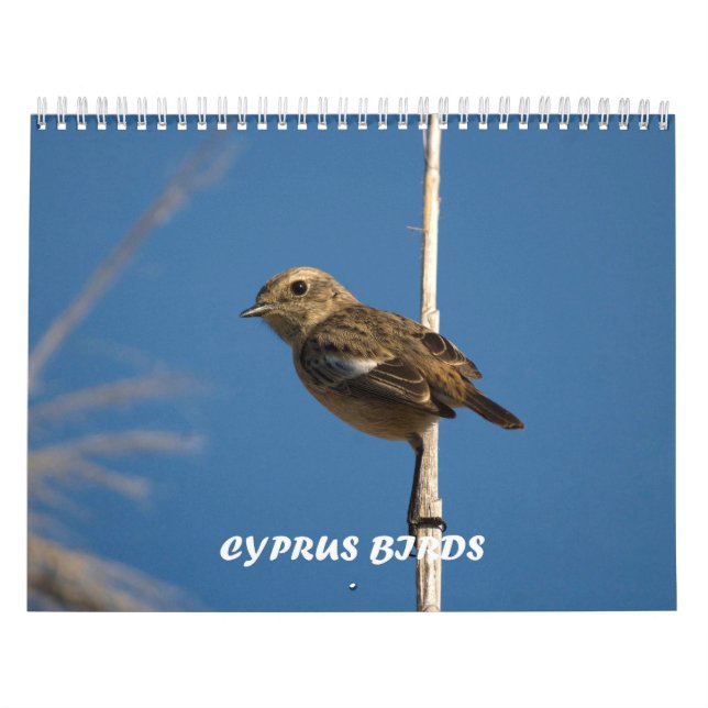 Vögel Zyperns Kalender (Titelbild)