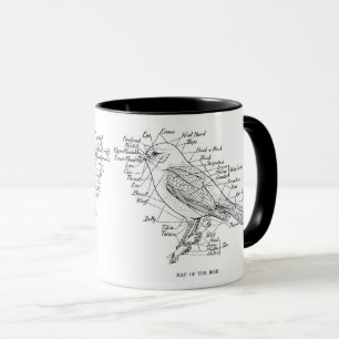 Vogelanatomie Tasse
