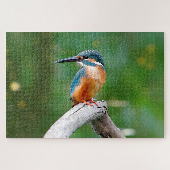 Vogelart (Horizontal)