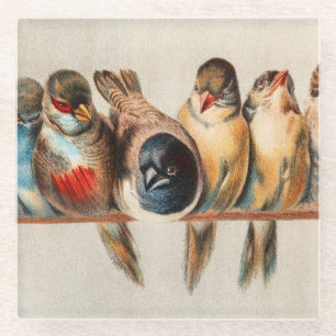 Vogelart und Taube Glasuntersetzer