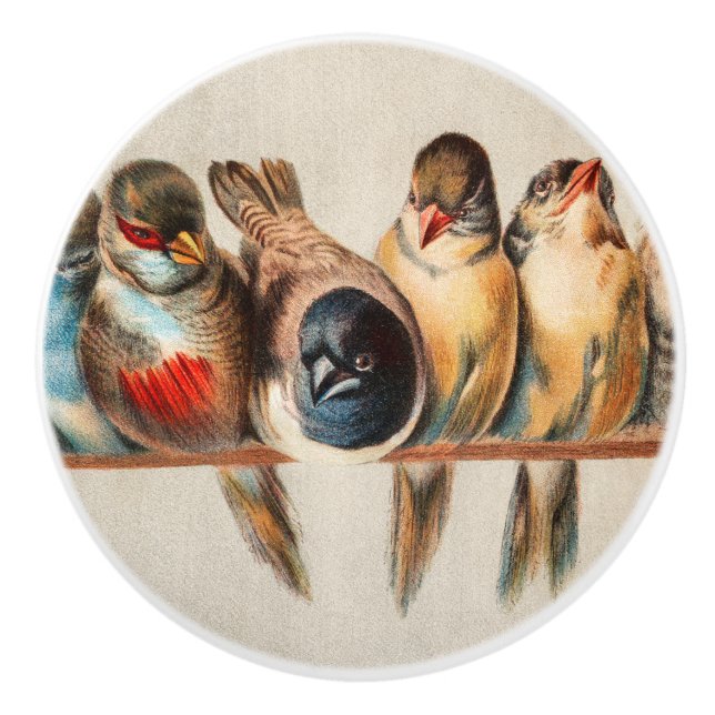 Vogelart und Taube Keramikknauf (Vorderseite)
