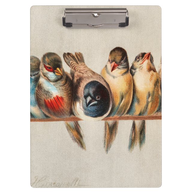 Vogelart und Taube Klemmbrett (Vorderseite)