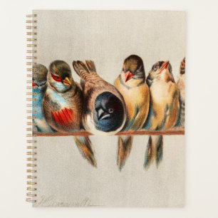 Vogelart und Taube Planer