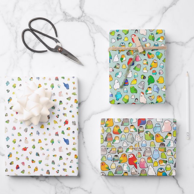 Vogelarten Geschenkpapier Set (Vorderseite)
