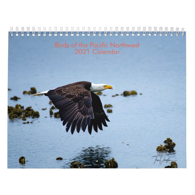 Vogelarten im Nordwesten des Pazifiks 2021 - Kalen Kalender (Titelbild)
