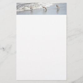 Vogelarten im Surf Foto Stationery Paper Briefpapier