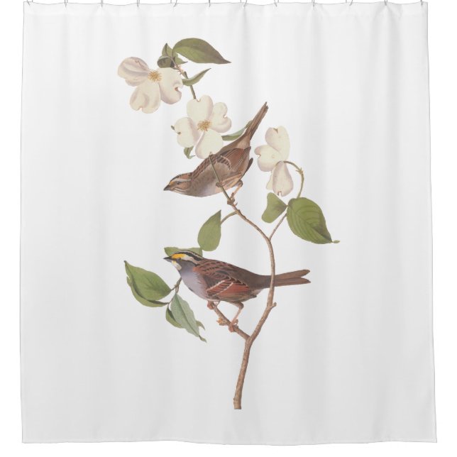 Vogelarten mit Weißwurmblättern, Audubon mit Blume Duschvorhang (Vorderseite)