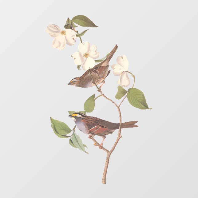 Vogelarten mit Weißwurmblättern, Audubon mit Blume Fensteraufkleber (Blatt)
