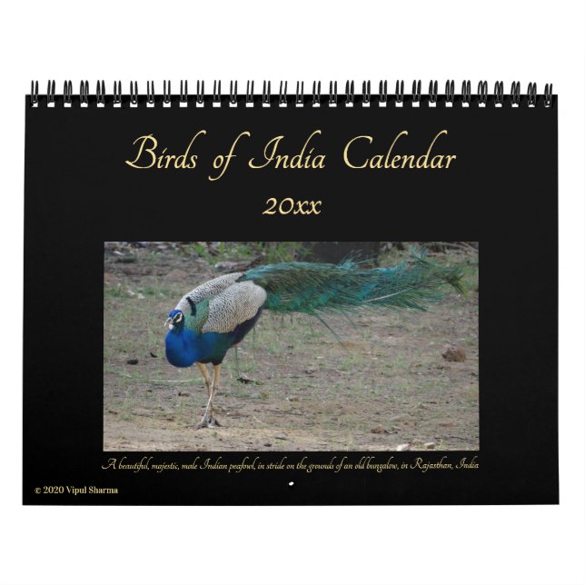 Vogelarten von Indien Naturfotografie 2025-26 Kalender (Titelbild)