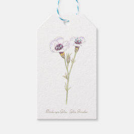 Vogelaugen Gilia Aquarell Holzkastenschild Geschenkanhänger