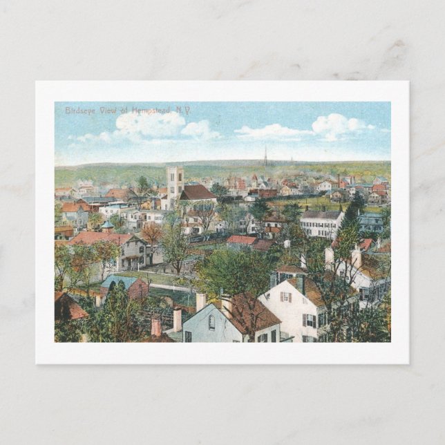 Vogelaugen, Hempstead, NY Vintag Postkarte (Vorderseite)