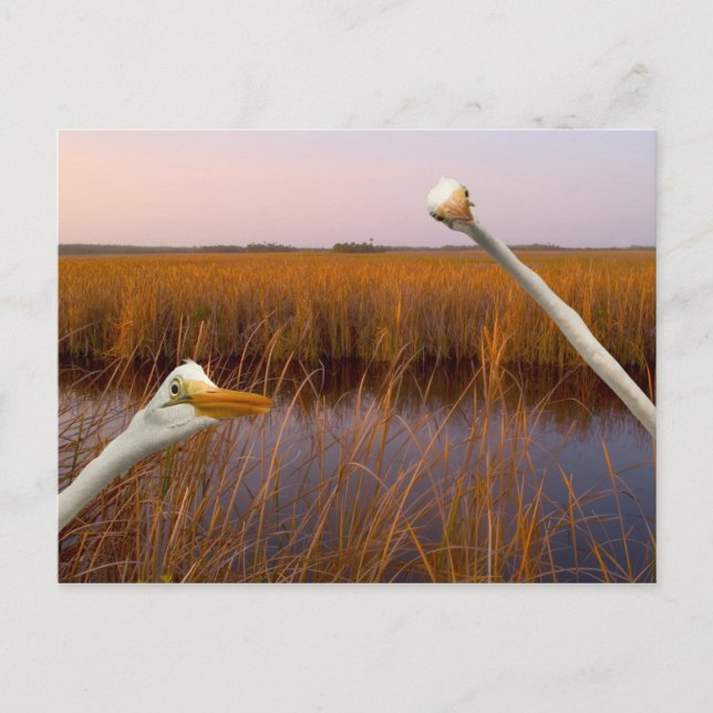 "Vogelaugenansicht" - Postkarte (Vorderseite)