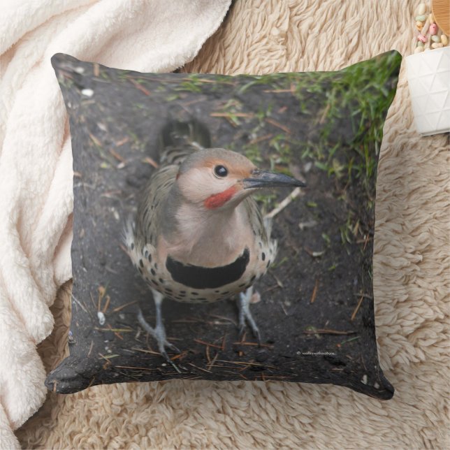 Vogelaugensicht auf den Nordflackerspecht Kissen (Decke)