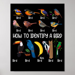 Vogelbeobachter: Identifizieren eines einzigartige Poster