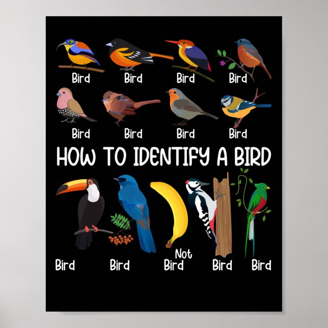 Vogelbeobachter: Identifizieren eines einzigartige Poster (Vorne)