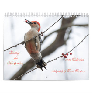 Vogelbeobachtung 2022 für den Zeitschriftenkalend Kalender