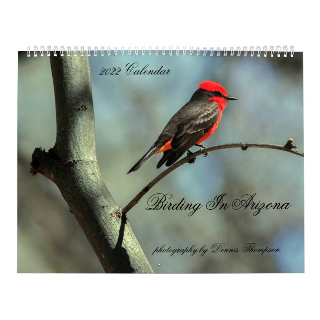Vogelbeobachtung 2022 in Arizona Kalender (Titelbild)