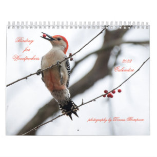 Vogelbeobachtung 2023 für den Zeitschriftenkalende Kalender