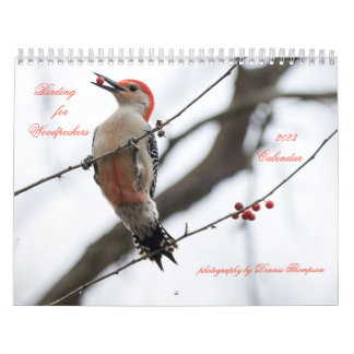 Vogelbeobachtung 2023 für den Zeitschriftenkalende Kalender