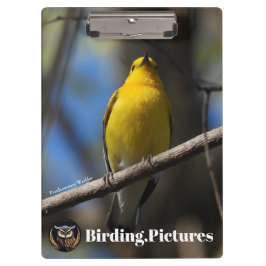 Vogelbeobachtung.Bilder Zwischenablage Klemmbrett