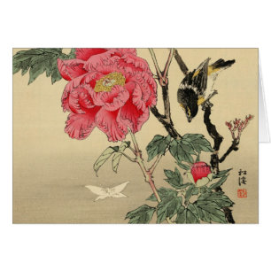 Vogelbeobachtung ein Schmetterling