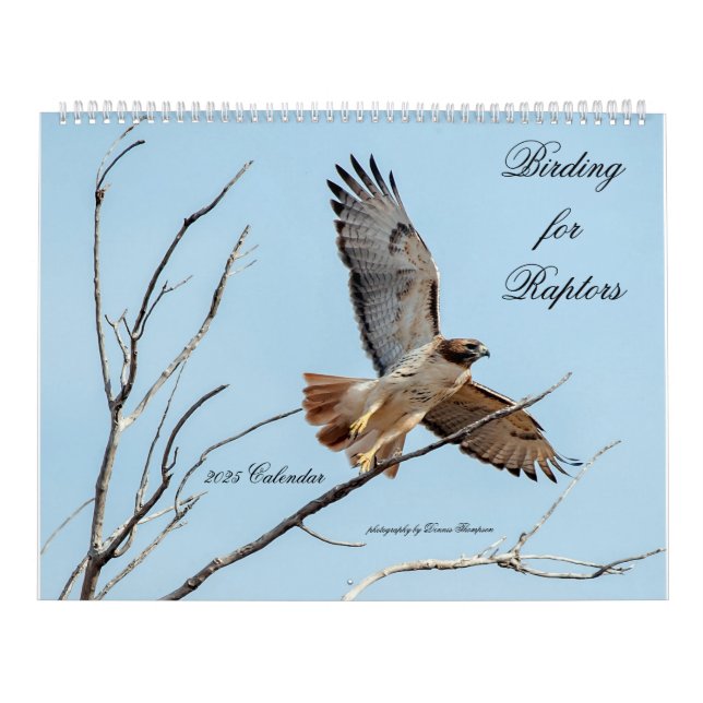 Vogelbeobachtung für Raptoren - Kalender 2025 (Titelbild)