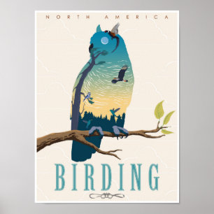 Vogelbeobachtung in Nordamerika Poster