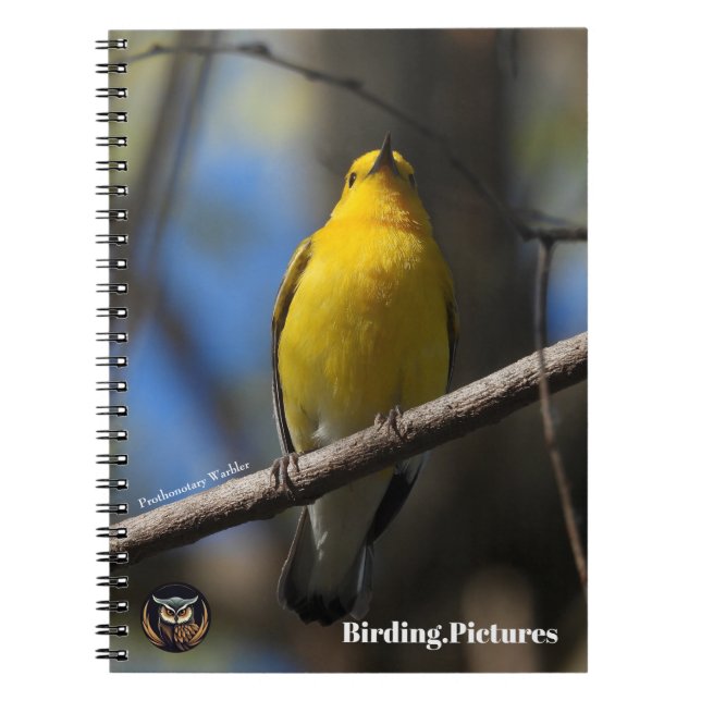 Vogelbeobachtung.Pictures Notebook Notizblock (Vorderseite)