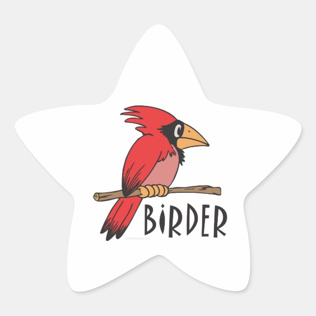 Vogelbeobachtung Stern-Aufkleber (Vorderseite)