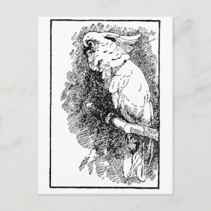 Vögelchen Postkarte
