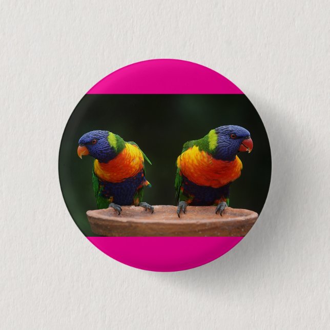 Vögelchen sind süß  button (Vorderseite)