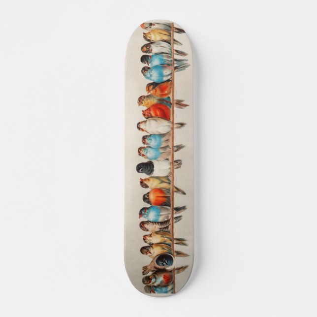 Vogeldeck 1 skateboard (Vorne)