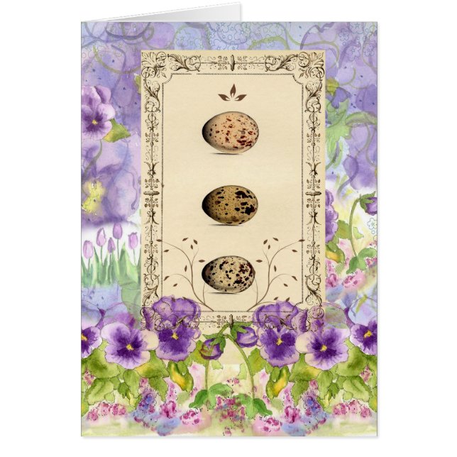 Vogeleier Lila Pansy Botanische Blume Karte (Vorne)