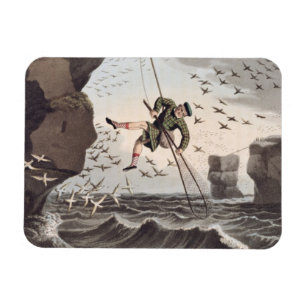 Vogelfang von oben, eingraviert von Matthew Dubo Magnet