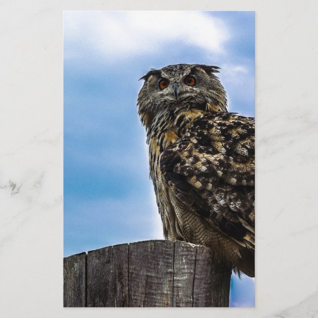 Vogelfedern Tierart zerstören Liebe des Friedens (Vorderseite)
