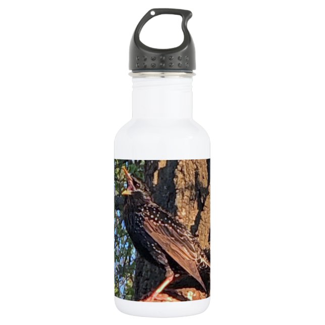 Vogelflasche Edelstahlflasche (Vorderseite)